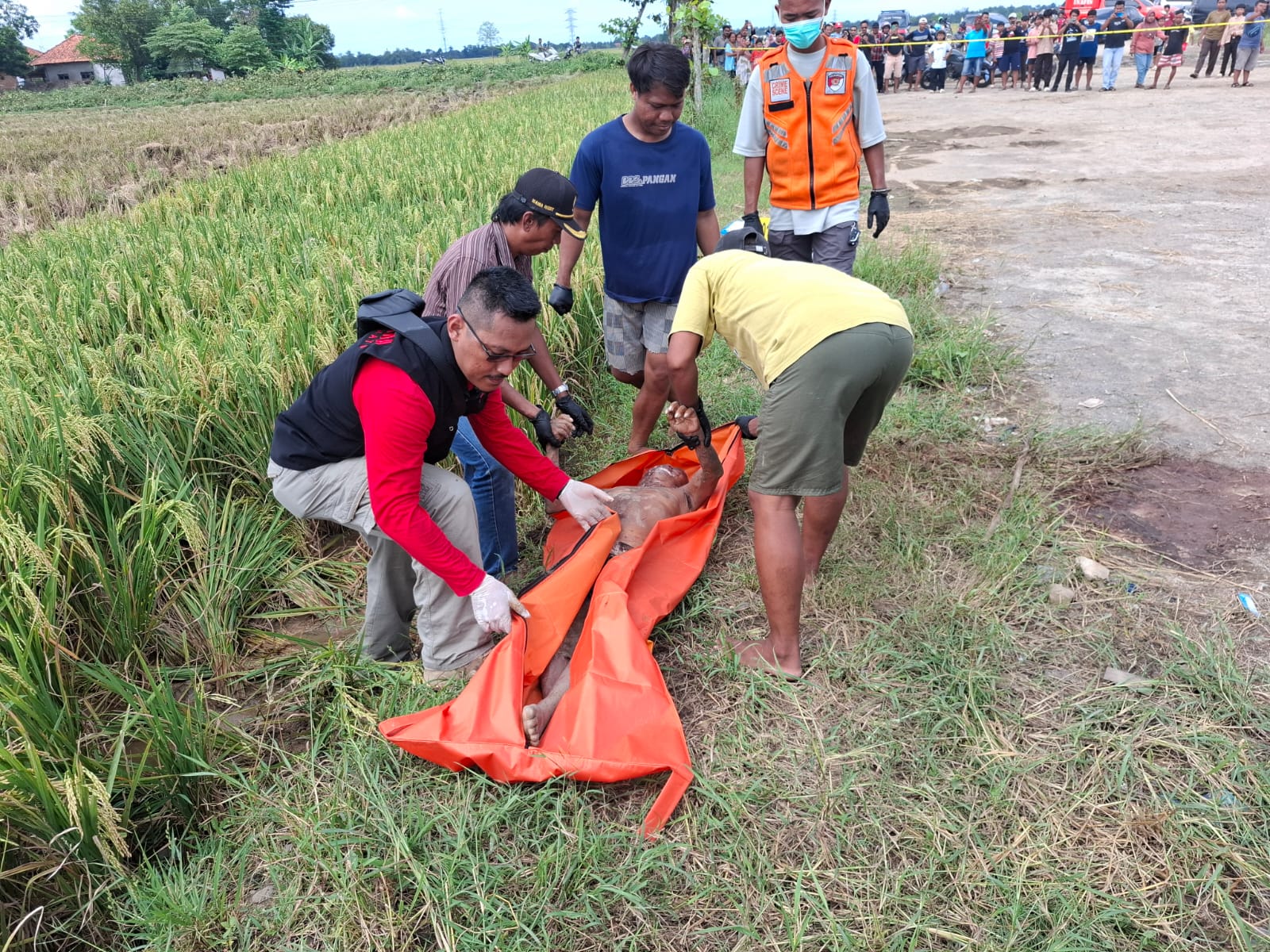 Penemuan Jasad Laki-laki di Area Sawah Gemparkan Warga Indramayu